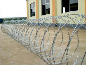 Galvanized 730mm Razor wire